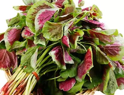 臺膳飲食建議:夏天應(yīng)多吃這些補氣